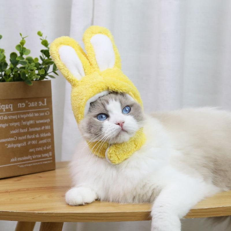 RabbitHat™ - Accessoire de déguisement pour chat - KOFEL STORE