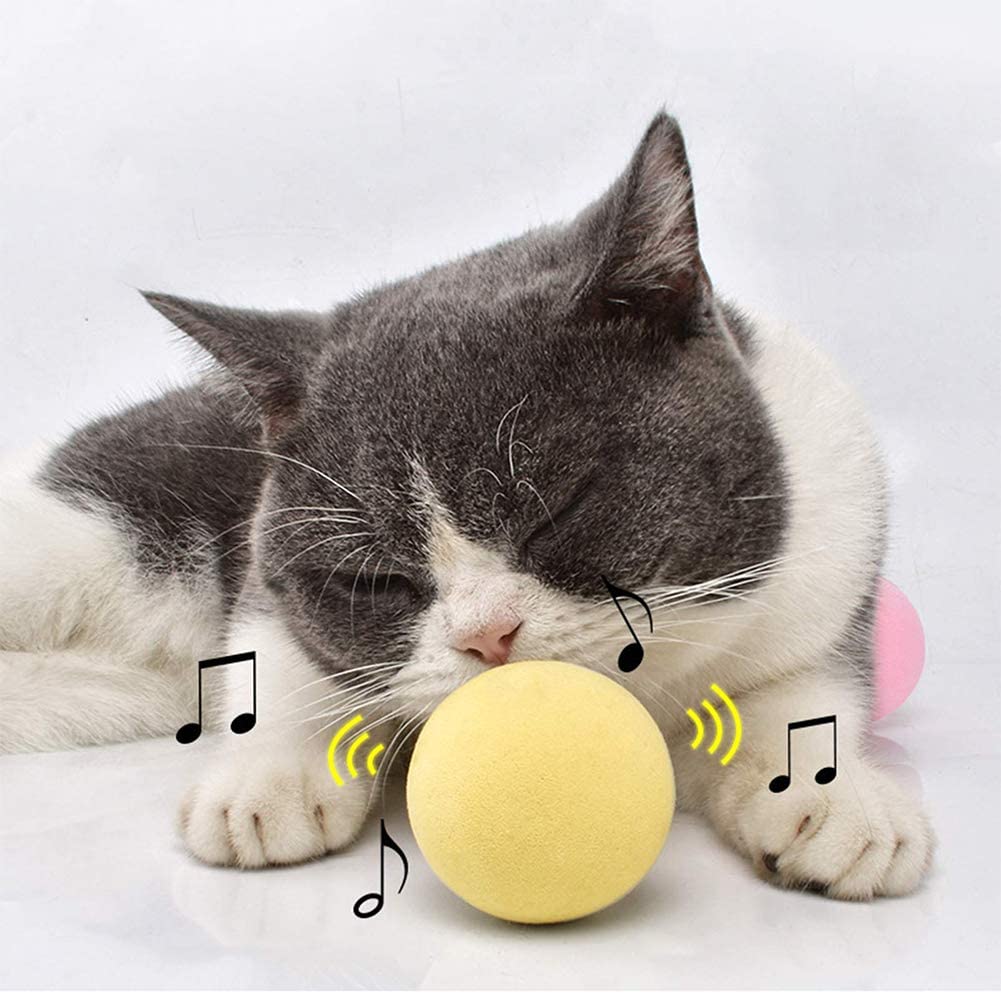 SmartBall™ - Balle intelligente d'apprentissage pour chat - KOFEL STORE